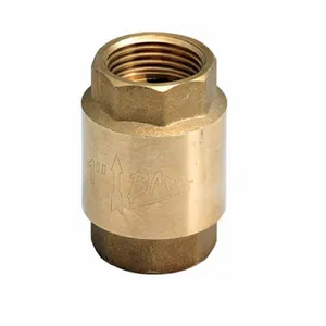 Válvula Check 1/2" Pulgadas BM